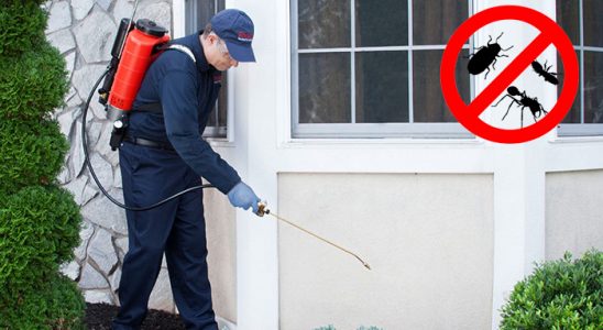 Doğanşehir Kene İlaçlama böcek ilaçlama ve haşere kontrolü — ilaclama-tr.com